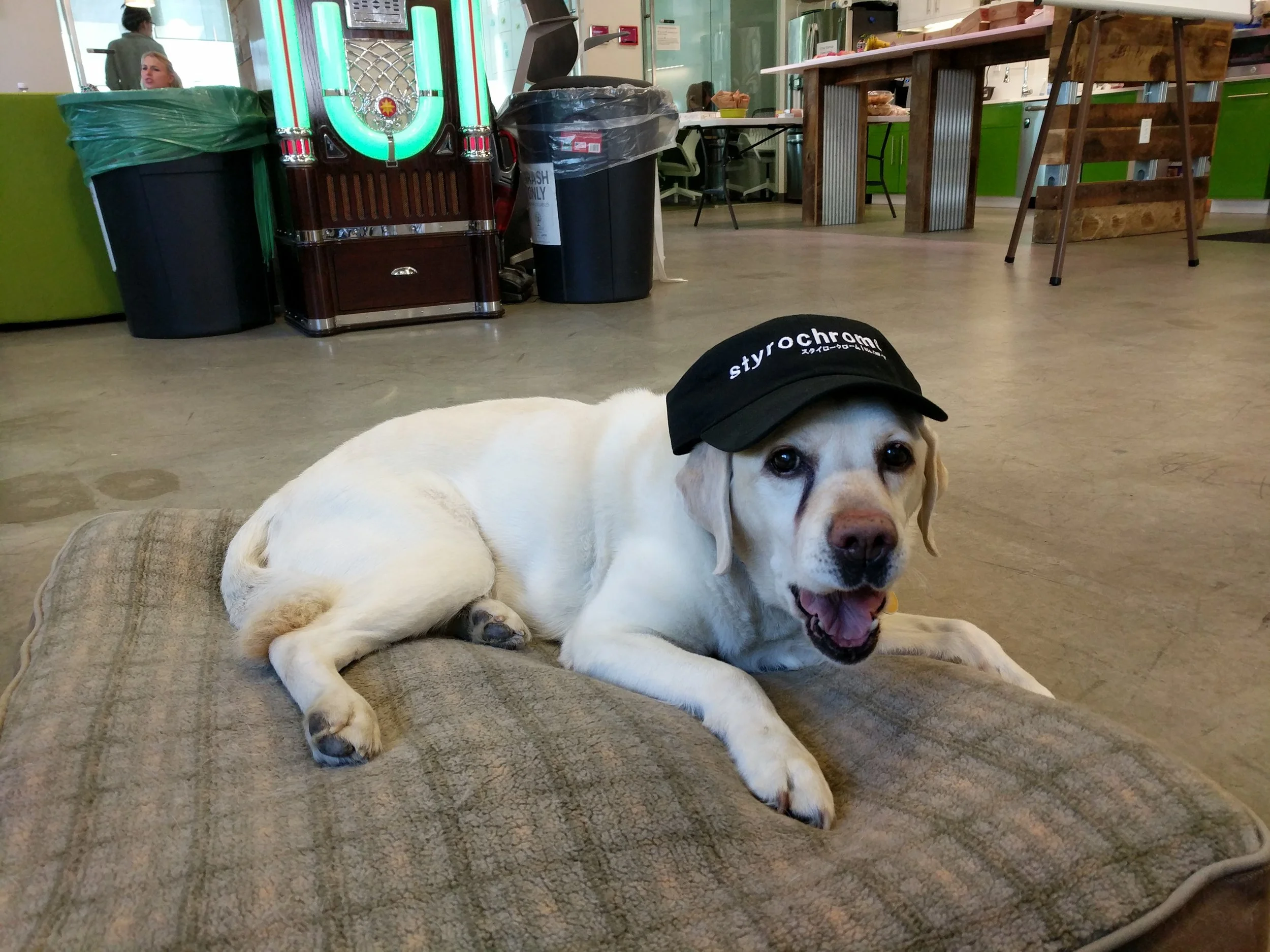 Maggie aka styrodog