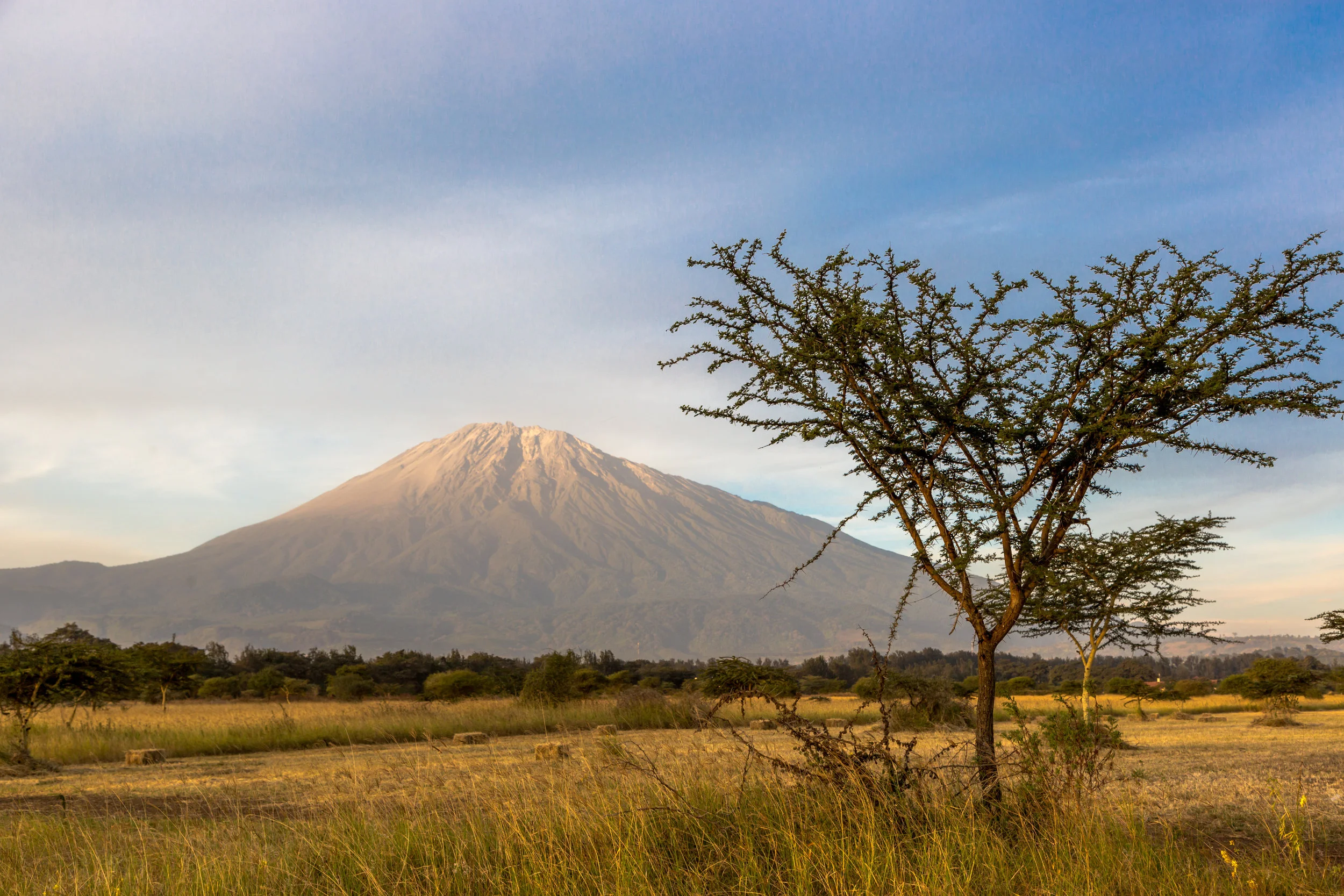AdobeStock_111917647 (2).jpeg