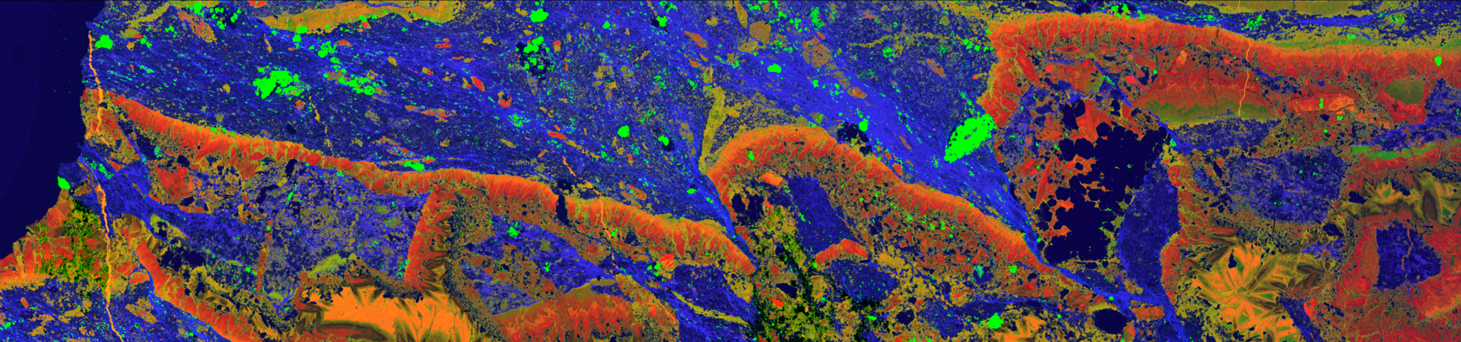 Image across a whole thin-section sample from Sunrise Dam Gold Mine Western Australia (Fisher et al., Miner. Deposita 50, 665-674 (2015); DOI: 10.1007/s00126-014-0562-z), showing a gold-bearing quartz-carbonate vein. Acquired on the XFM beamline at the Australian Synchrotron using the Maia detector system. Image displays Sr, Fe and Rb in RGB (66668 x 15001 pixels, 40.0 x 9.0 mm2, 0.13 ms/pixel, 1G pixels, 250 Gbytes)