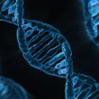 EVENT SUMMARY - Workshop "Dynamics of Biological Macromolecules"