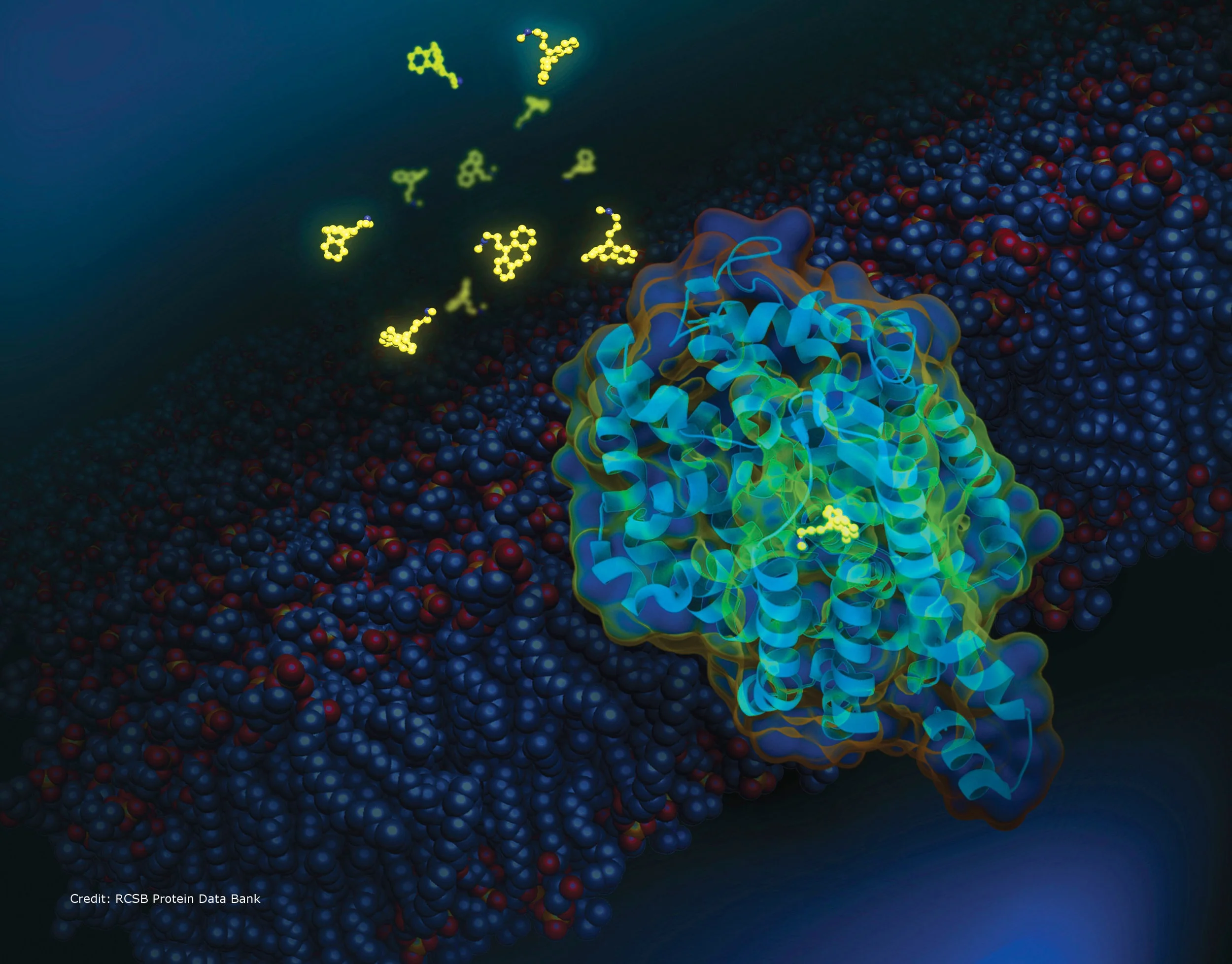 EVENT SUMMARY - Workshop "Dynamics of membranes and their constituents"