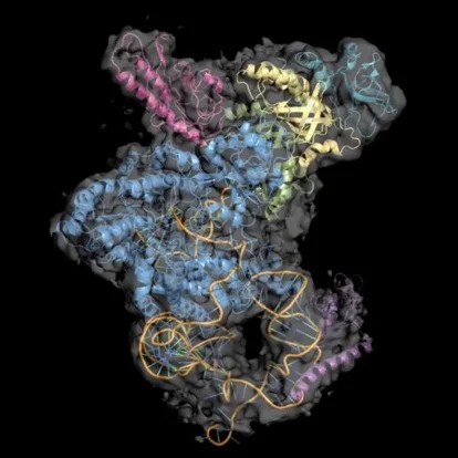 Integrative Structural Biology Theme organises second symposium - interview with Jens Lagerstedt