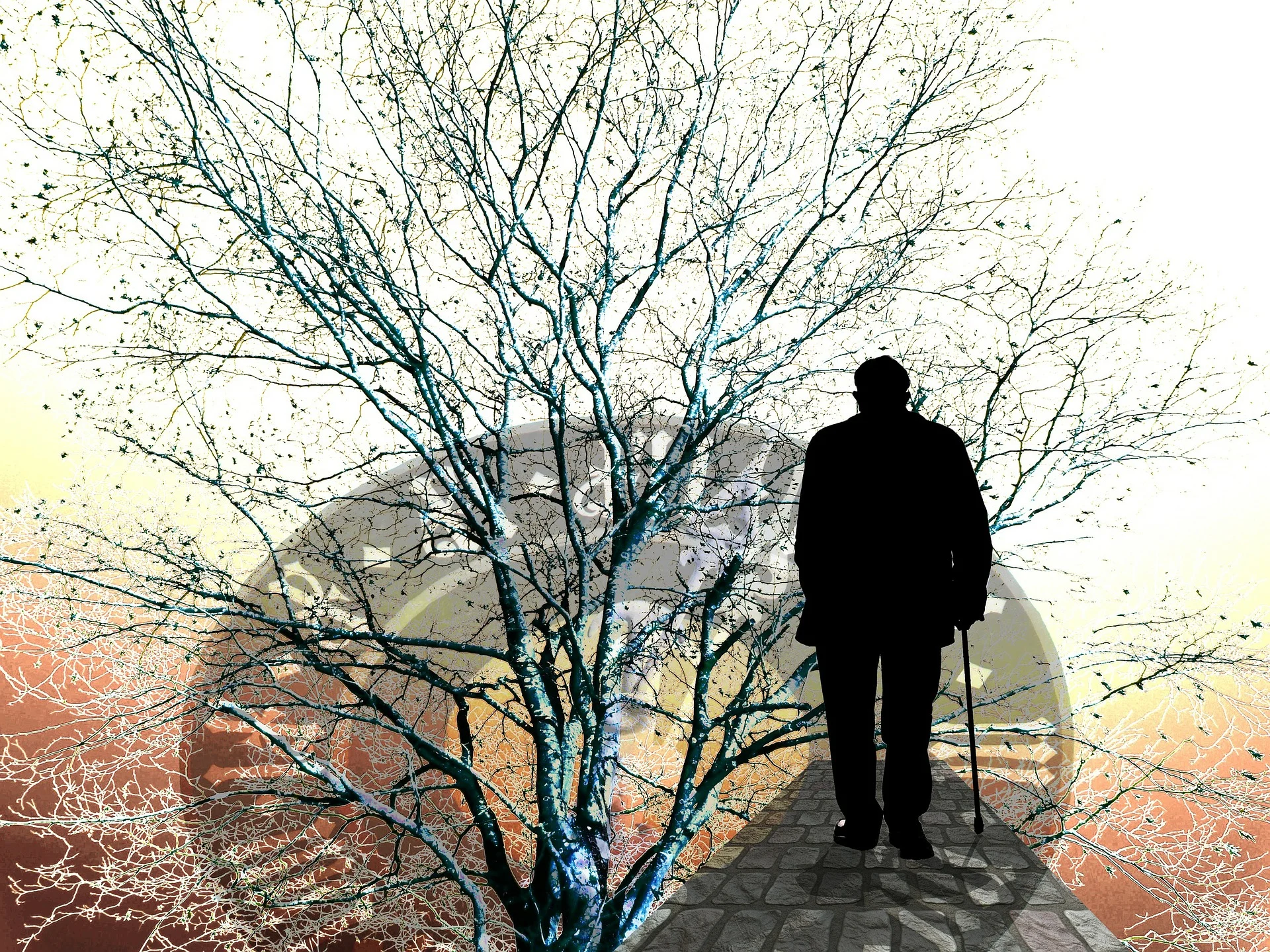"One of the main questions for amyloid research are: how do we capture the change of the protein from good to bad? New WG on Amyloid: an integrative approach