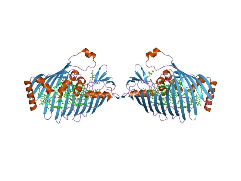 What is the new WG, Time-resolved Structural Biology, about? We ask Thomas Ursby
