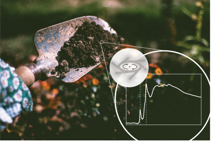 Soil Science Workshop: It was good to get insight into issues and questions that participants are interested to find out more about 