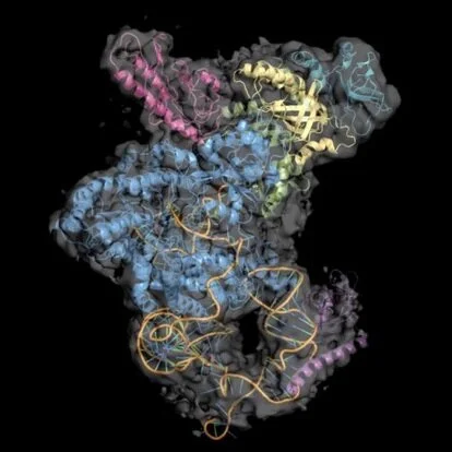 "By meeting others, you get inspired in your own research, and can identify future collaborators" - Reflections on the Integrative Structural Biology theme's second symposium