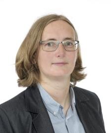 Reflections from workshops hosted by the Magnetic Materials Working Group