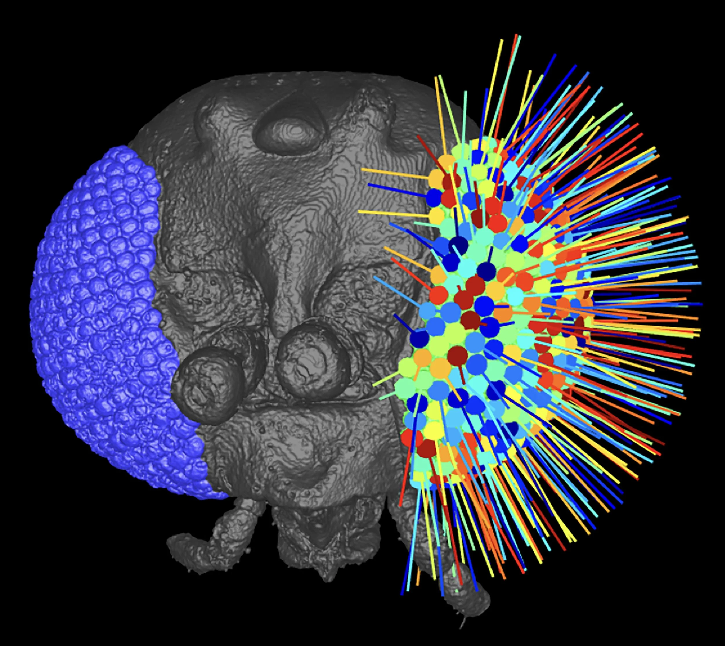Creating new communities - the legacy of the imaging theme