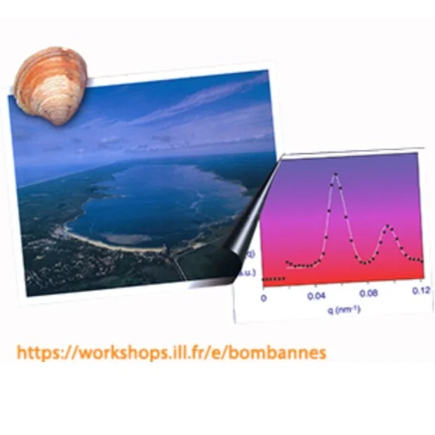 15th European Summer School on "Scattering Methods Applied to Soft Condensed Matter"