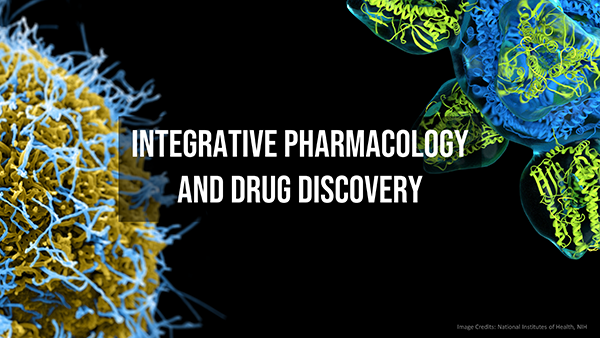 Biophysics of Drug Delivery: new working group under the Integrative Pharmacology and Drug Discovery theme