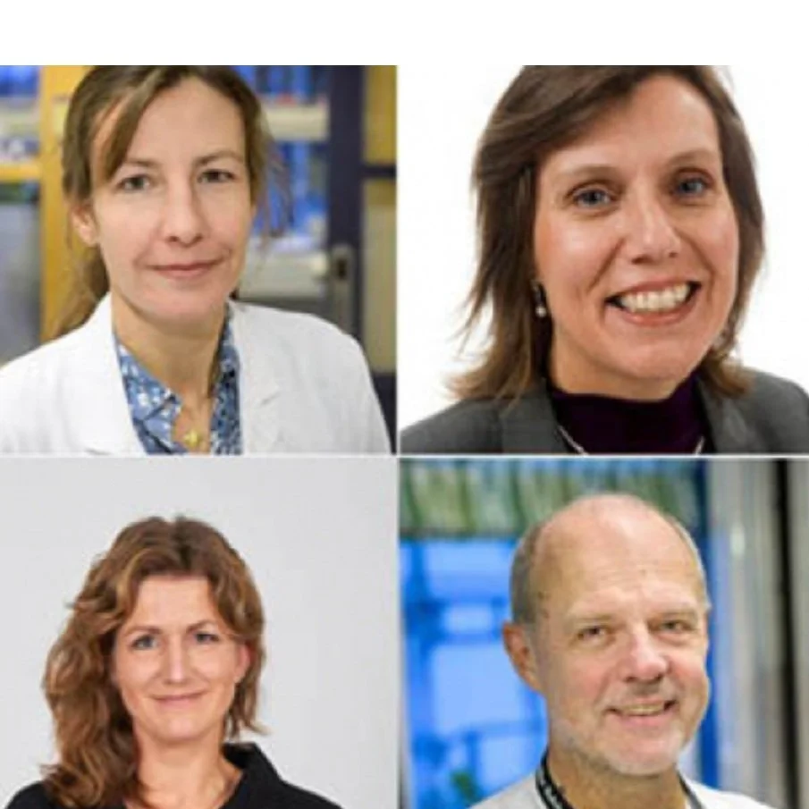 HALOS Webinar: Use of HALOS facilities within clinical research