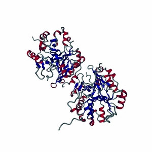 LINXS Event - 2nd Time-Resolved Structural Biology workshop