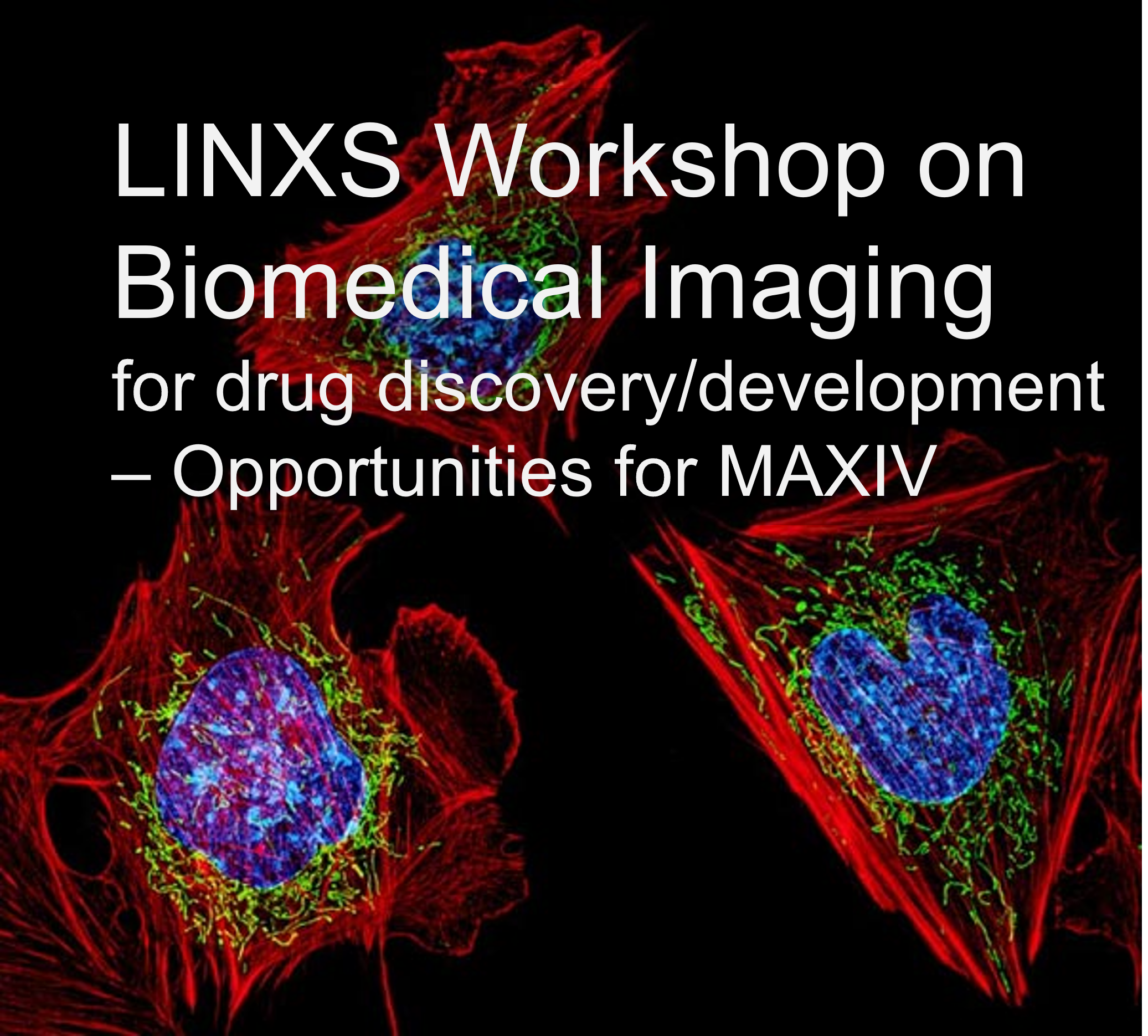 LINXS Workshop on Biomedical Imaging for drug discovery/development – Opportunities for MAXIV 