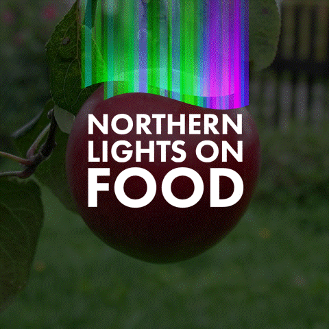  LINXS Partner event: Joint LINXS/ Physical Chemistry/ KILU/&nbsp;Food Technology, Engineering and Nutrition seminar: Leonie van't Hag