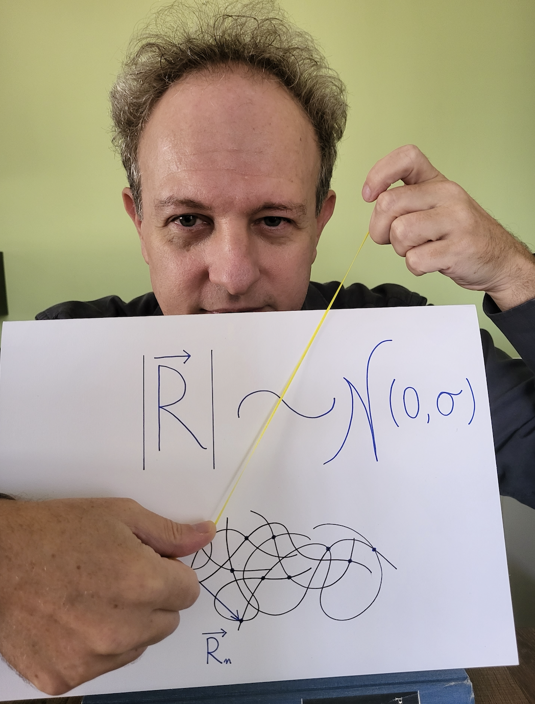 LINXS guest researcher Stefano A. Mezzasalma publishes seminal work on the rubber elasticity of polymer networks in explicitly non-Gaussian states