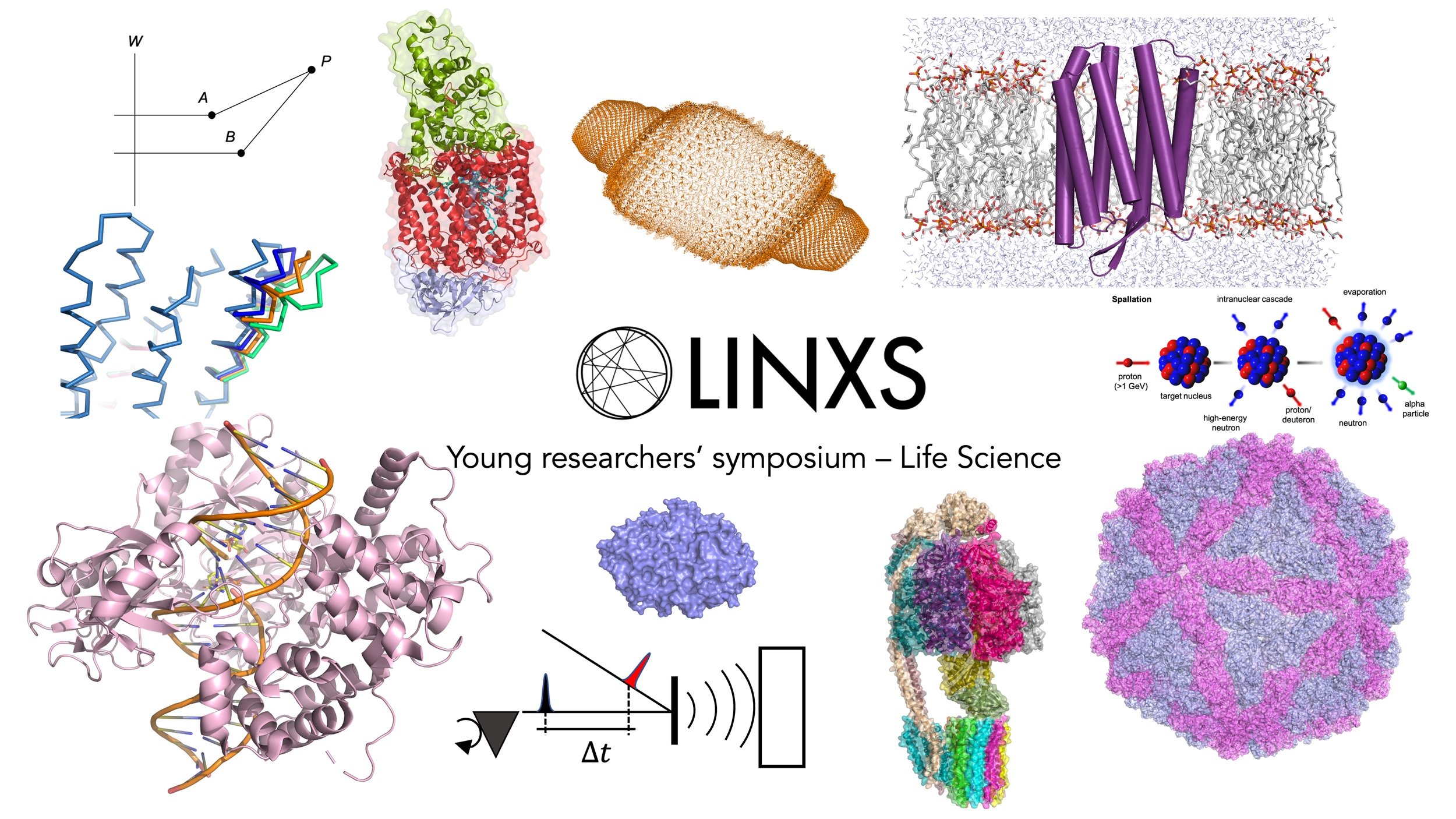 Welcome to LINXS Young Researchers’ Symposium – Life Sciences!