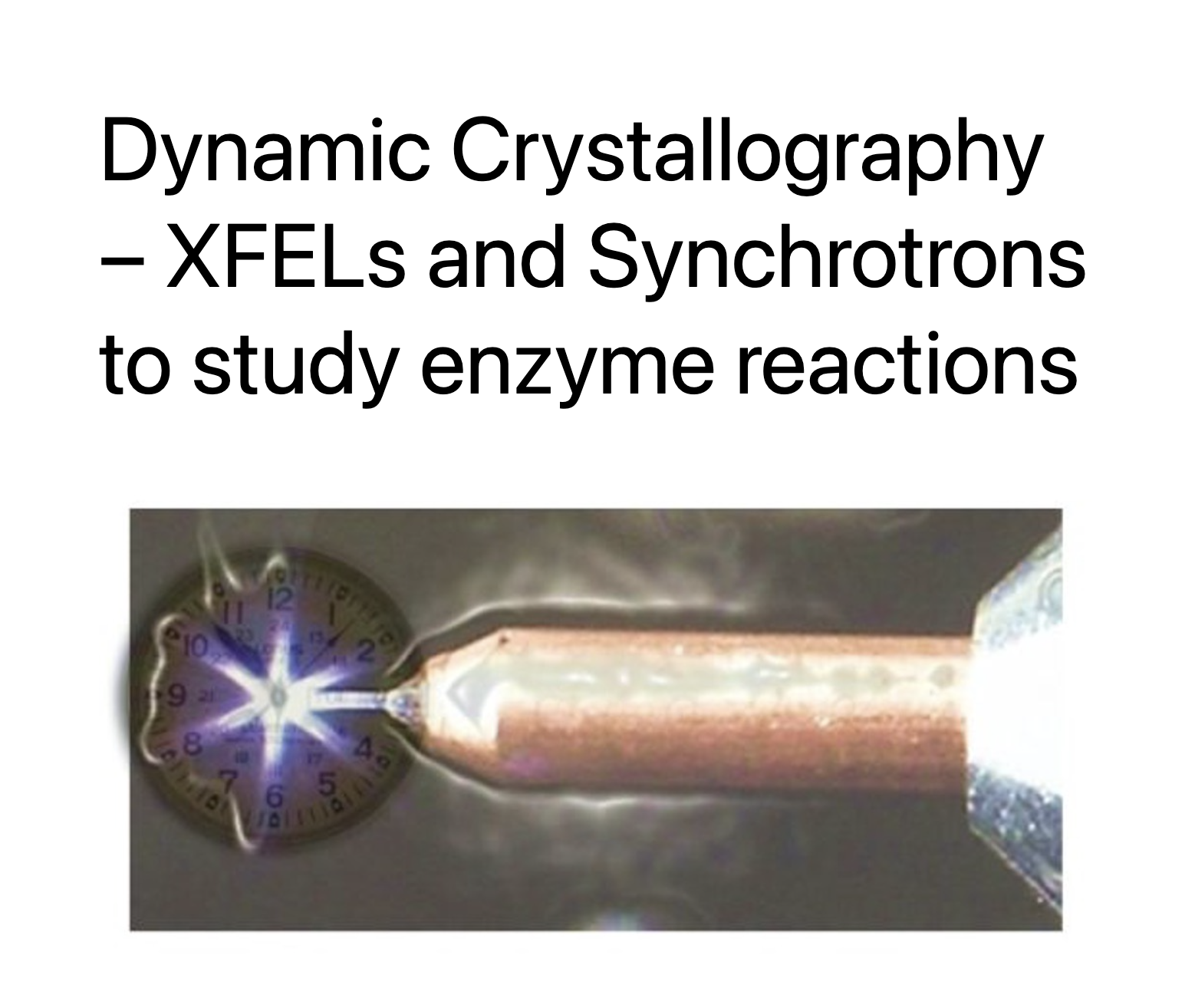 ChemLife WG 3 Kick-off and Time-resolved crystallography meeting 2023 