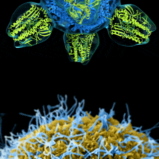 INTEGRATIVE PHARMACOLOGY AND DRUG DISCOVERY 2022-2024