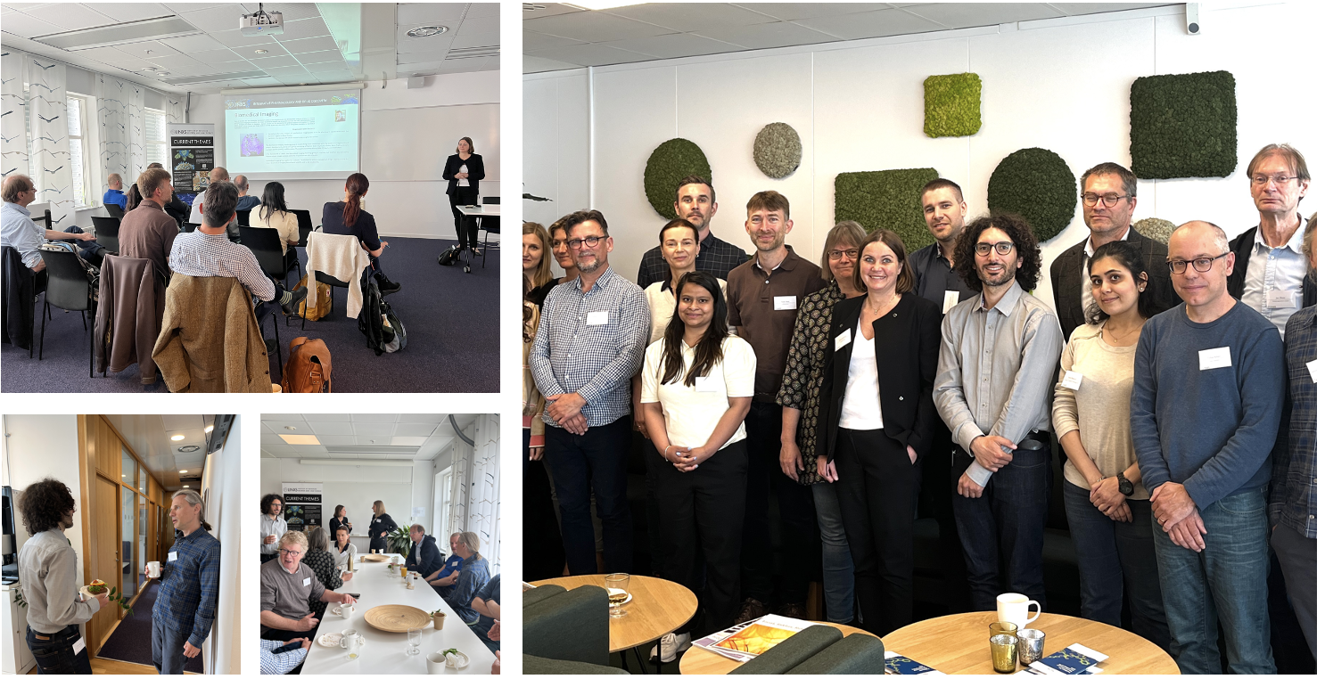 The IPDD theme meeting highlights important progression: "We have begun to create a platform for drug discovery research in Sweden"