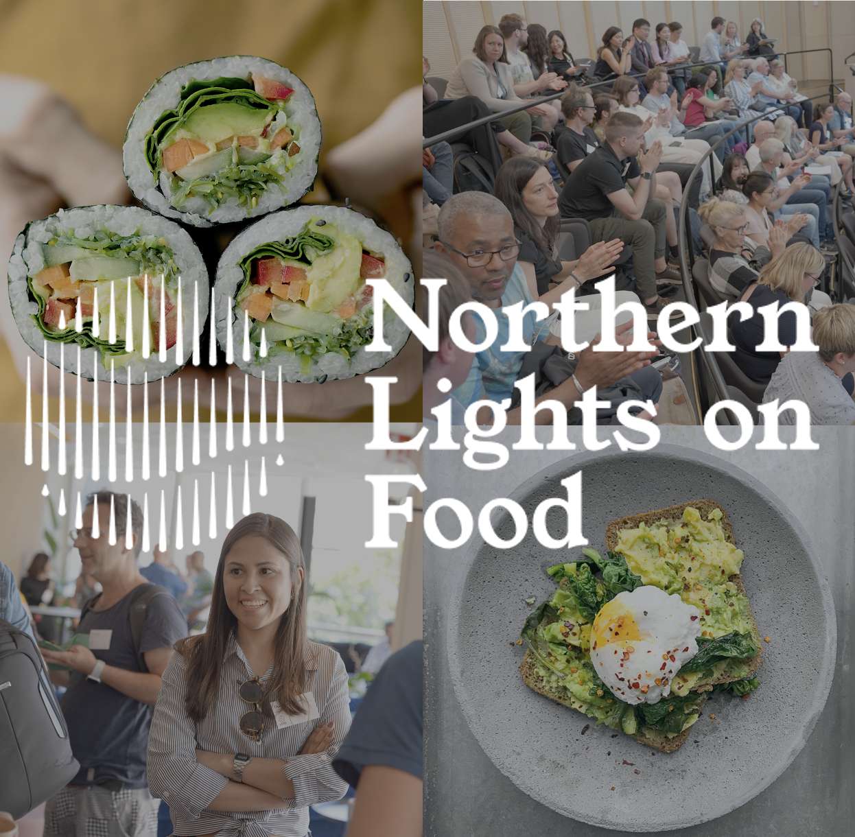 Northern Lights on Food VI – An international conference on food structure science and its applications - LINXS partner event