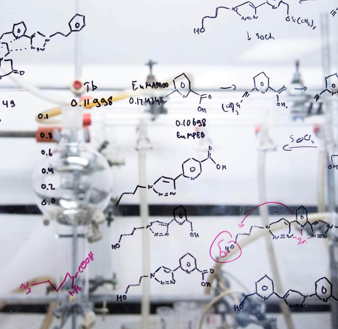 Life in Dynamic Detail - Chemistry of Life Young Researchers' Symposium II –&nbsp;LINXS event