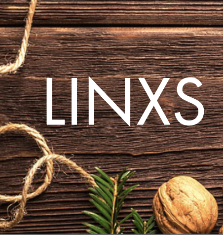 LINXS Christmas Calendar 2023 - join us to learn more about X-rays and neutrons!
