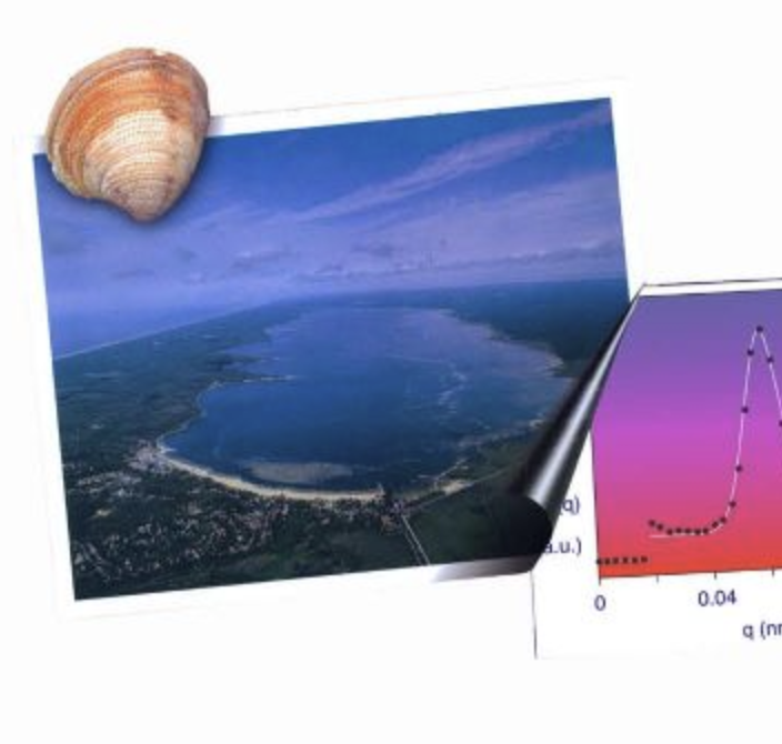 Bombannes 2024 summer school "Scattering Methods Applied to Soft Condensed Matter" - LINXS related