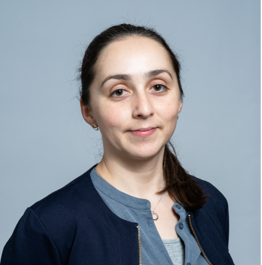 LINXS Webinar: "Biophysical analysis of nanoparticles for drug delivery – combining bulk and single particle techniques" with Hanna Barriga –&nbsp;IPDD theme