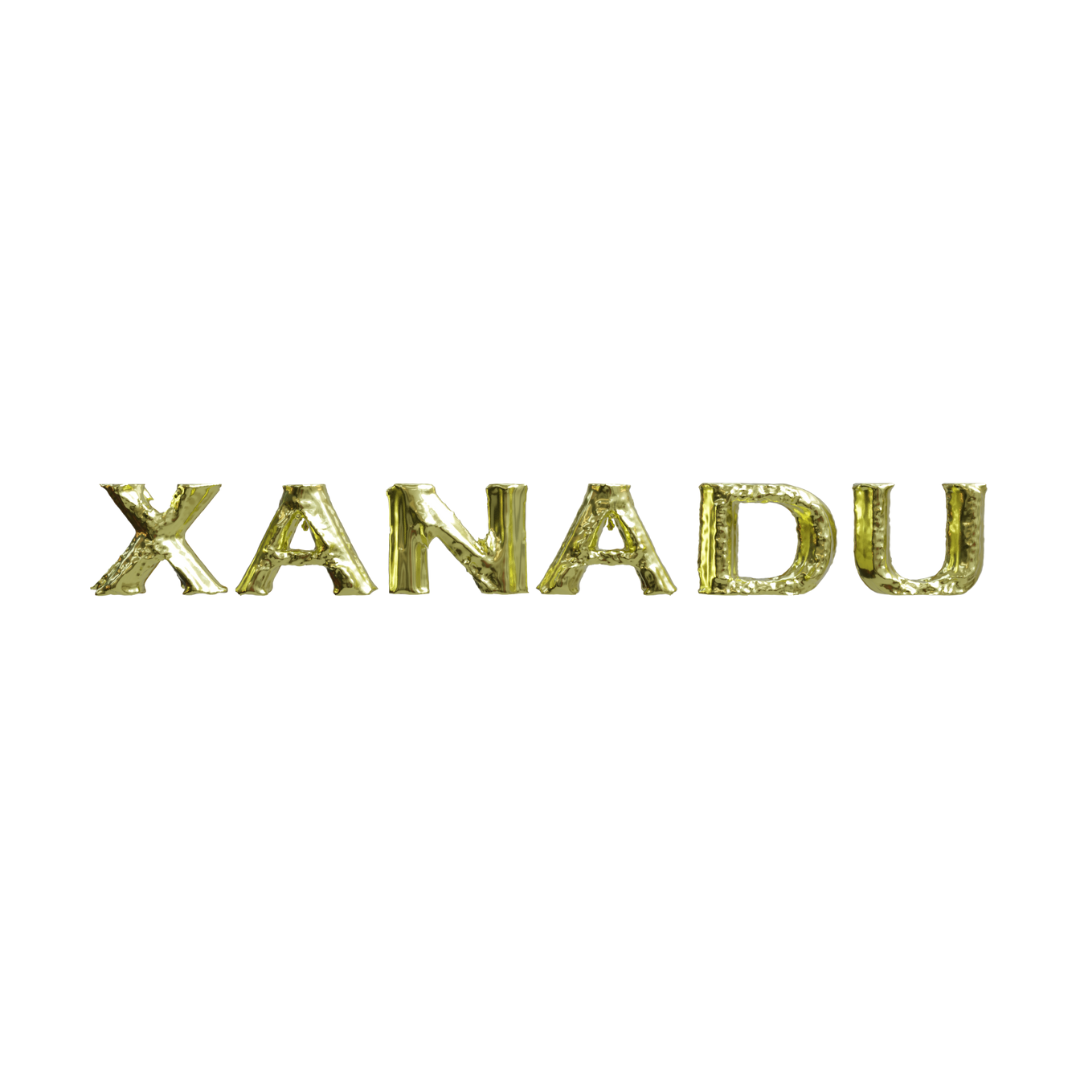 XANADU poster session - LINXS related event