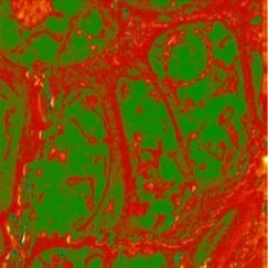 Accelerating tomographic data processing immediately after beamtime - AIDA event 