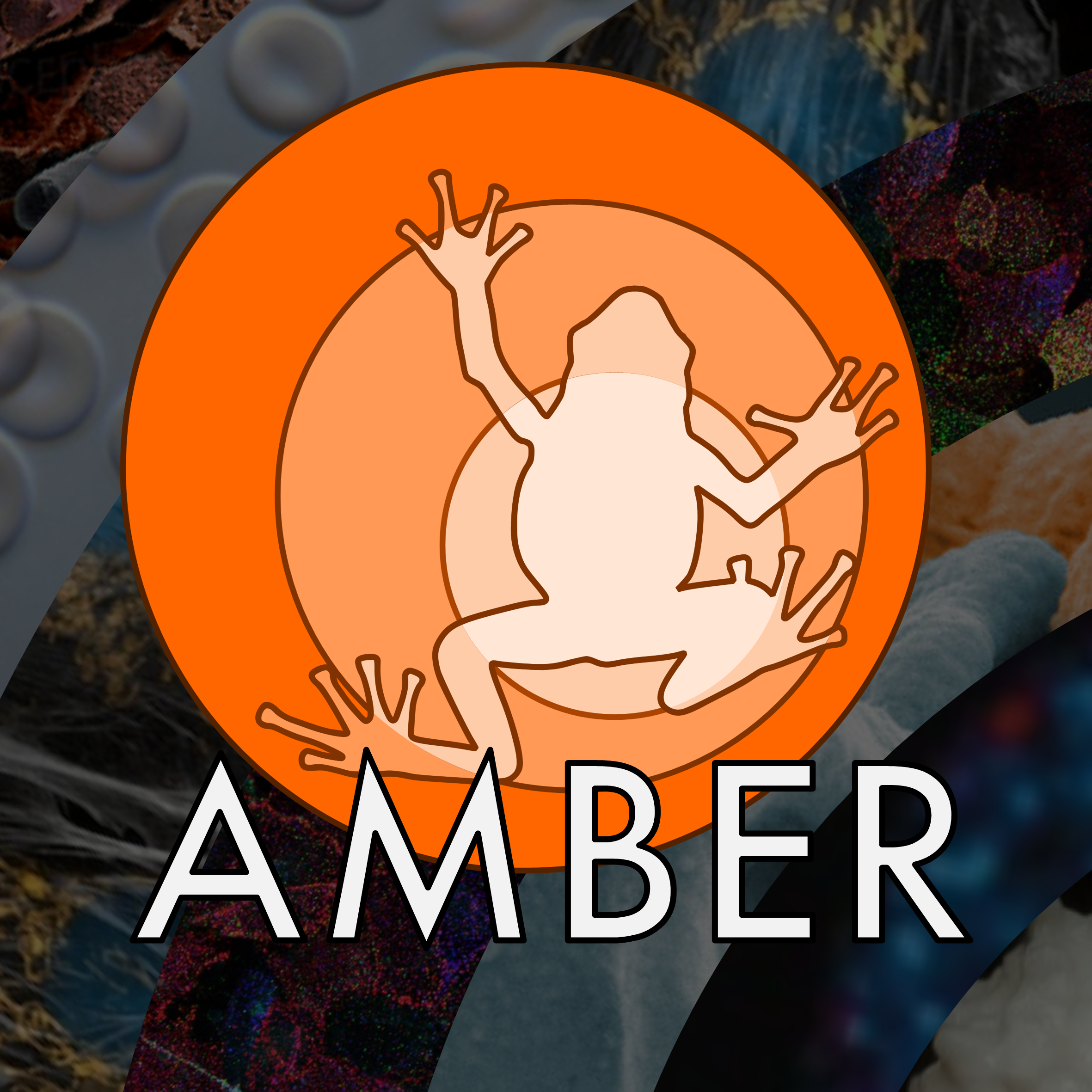 Meet the first AMBER postdocs – Bo He and Ceren Mutgan Redolfi