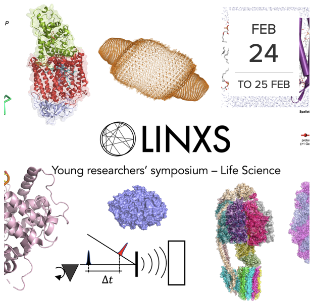 Career session, facility tours and a great variety of biophysical science - what to expect from the Young Researchers’ Initiative on Life Science