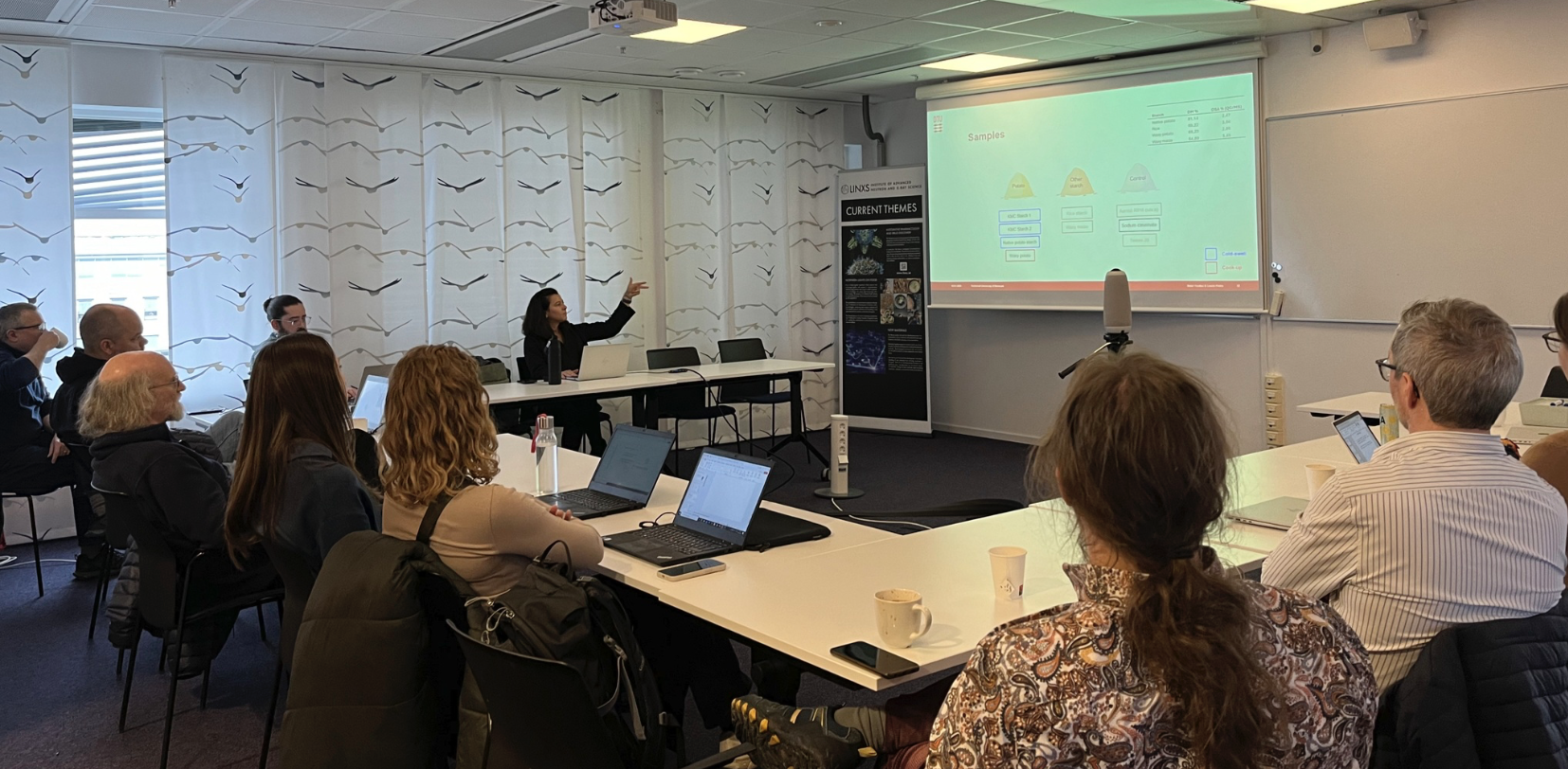 LINXS offers hands on support in data analysis to grow the SAS community in partnership with MAX IV, ESS, Lund University and SciLifeLab