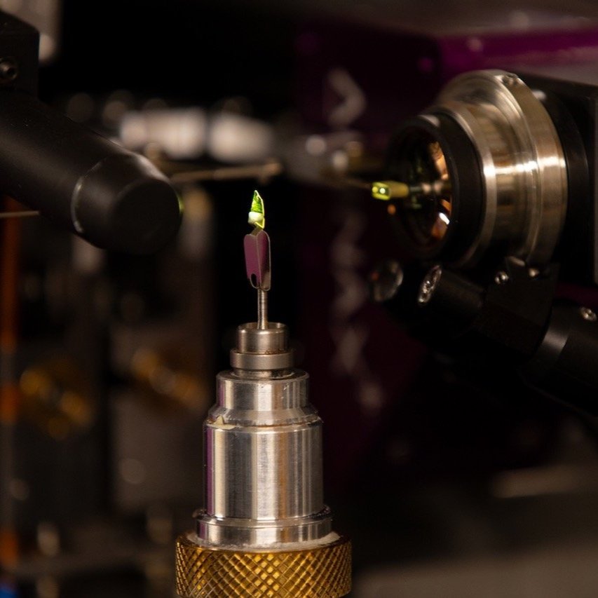 Scientific achievements through serial crystallography – LINXS ChemLife-MAX IV event