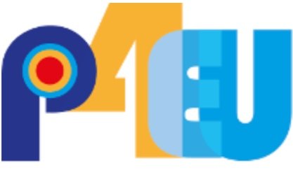 21st P4EU Meeting - LINXS related
