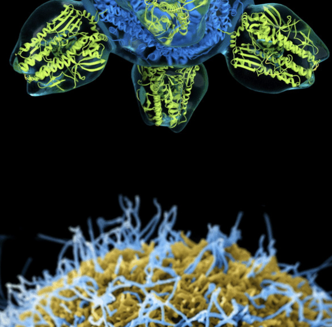 integrative Pharmacology and Drug Design