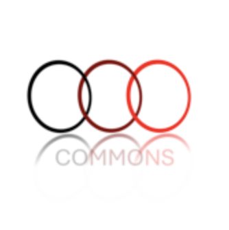 COMMONS Early-Career Day - LINXS partner