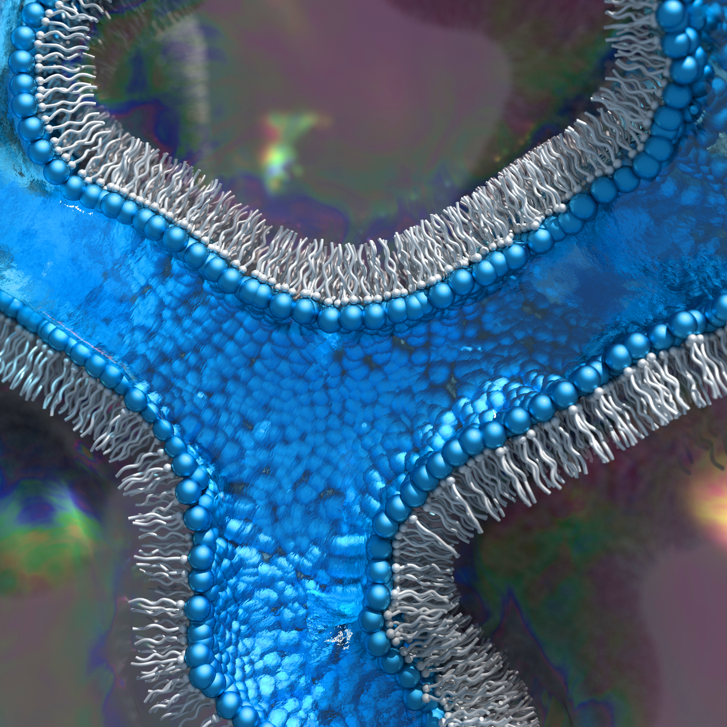 SOFT MATTER IN LIFE (SMILE)