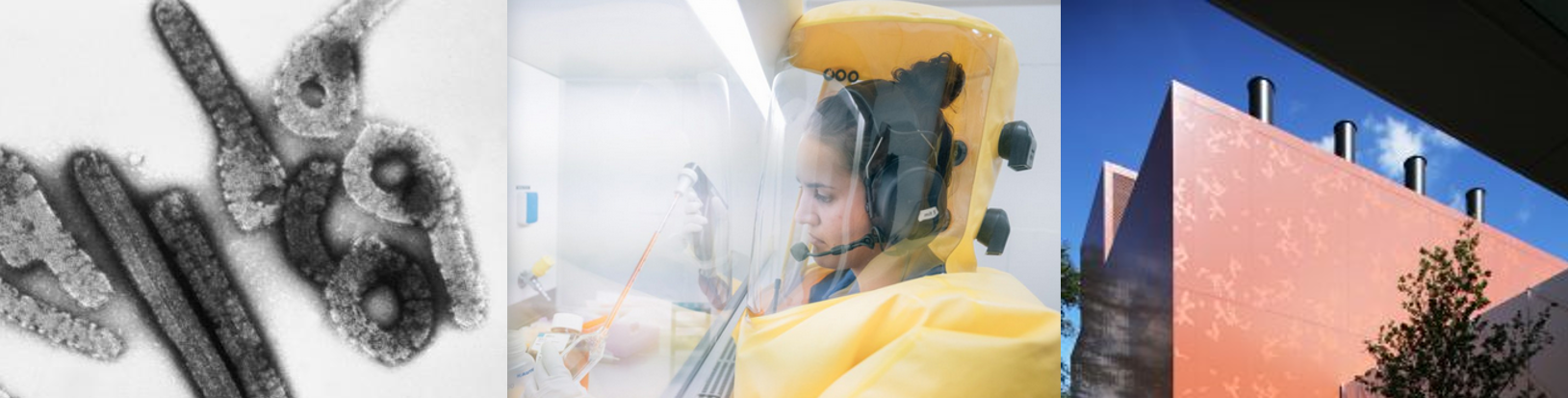 PandA Symposium – Knowing and Fighting the Virus