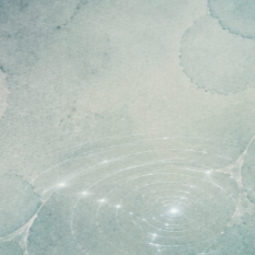 In focus: women in the soft matter scattering community - YRI Soft Matter