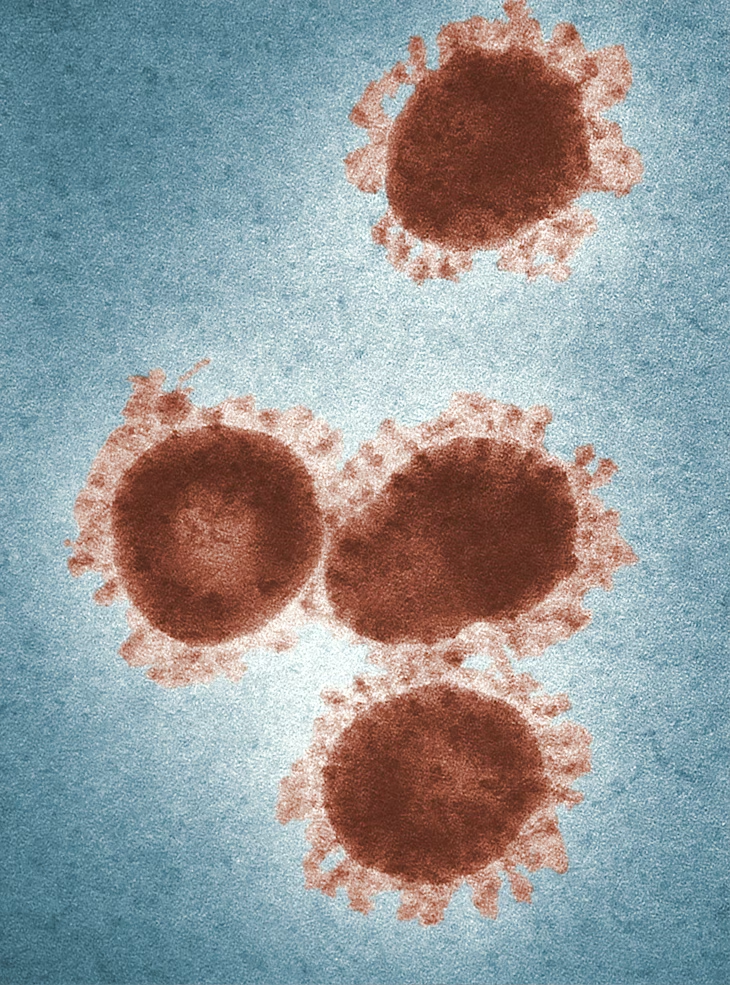 Knowing and Fighting the Virus - Pandemics and Alertness (PandA) Symposium