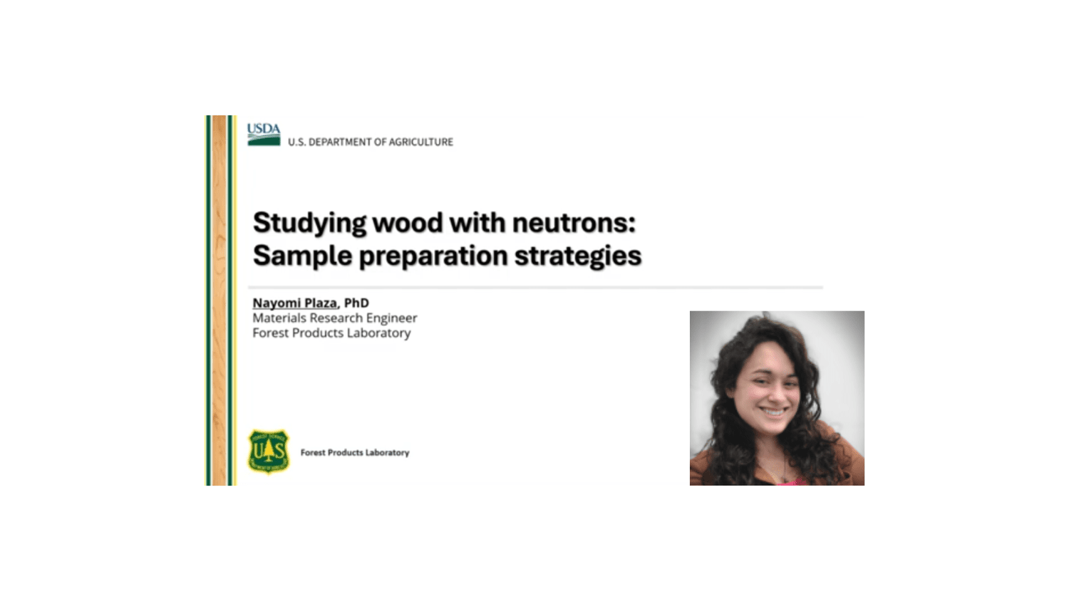 Studying wood with neutrons: Sample preparation strategies