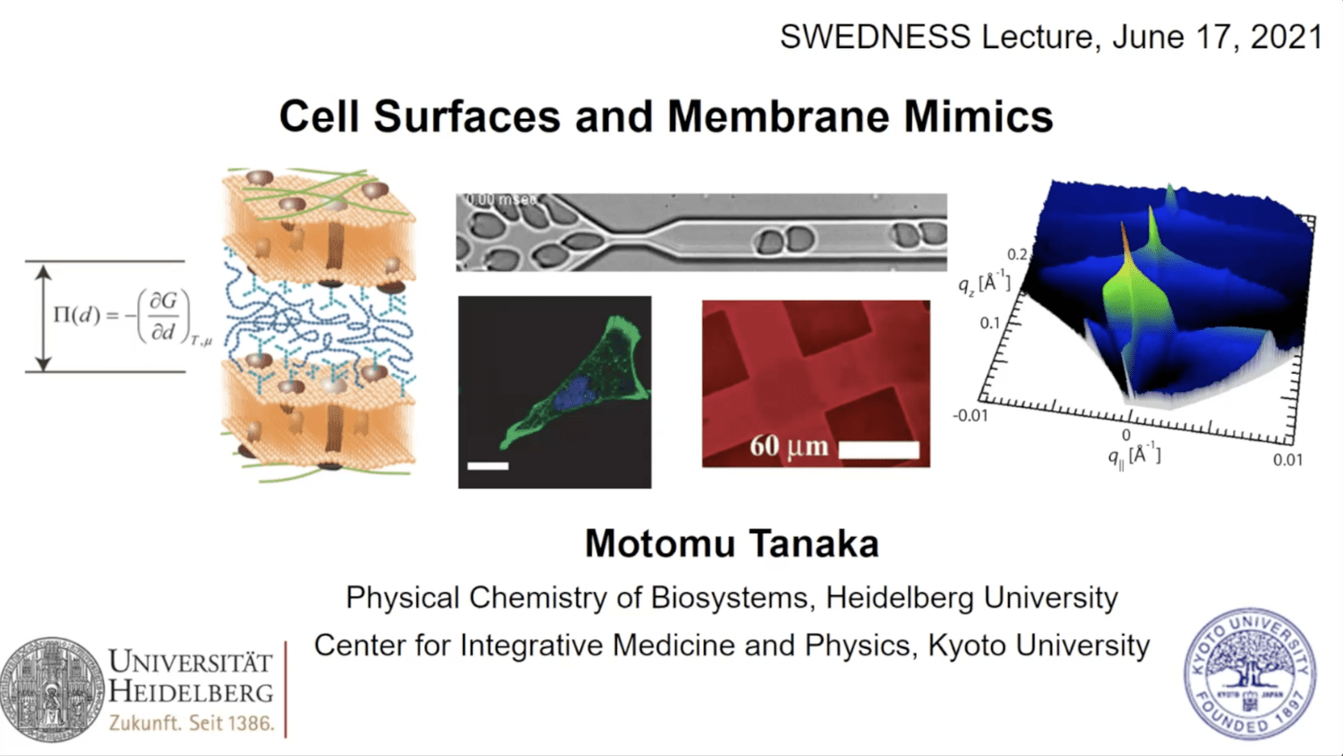VIDEO - SWEDNESS/LINXS PhD school on Life Science and Biomaterials - Call surfaces and membrane mimics with Motomu Tanaka
