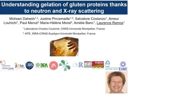 VIDEO - Northern Lights on Food II workshop - Understanding gelation of gluten proteins thanks to neutron and X-ray scattering with Laurence Ramos
