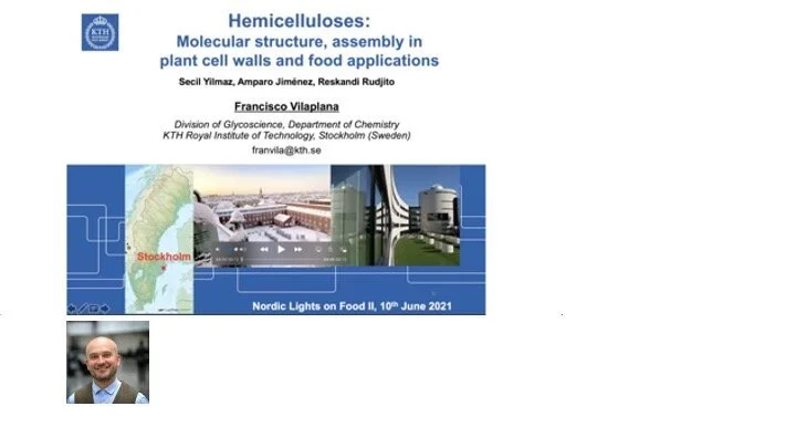 VIDEO - Northern Lights on Food II workshop - Hemicelluloses: Molecular structure, assembly in plant cell walls and food applications with Francisco Vilaplana