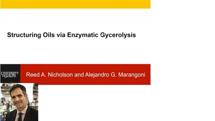 VIDEO - Northern Lights on Food II workshop - Structuring Oils via Enzymatic Glycerolysis with Alejandro Marangoni