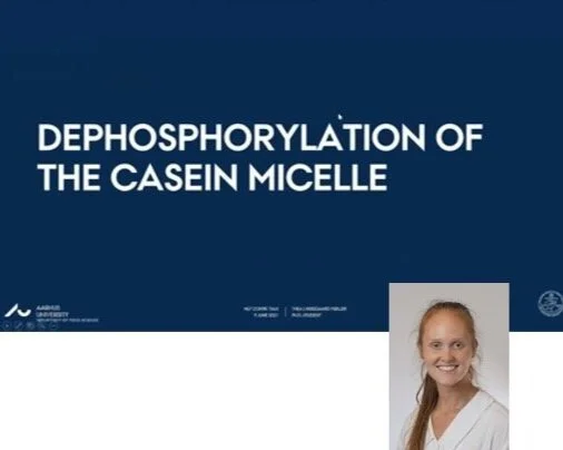 VIDEO - Northern Lights on Food II workshop - Dephosphorylation of the casein micelle with Thea Lykkegaard Moller