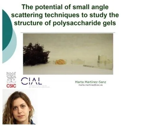 VIDEO - Northern Lights on Food II workshop - The potential of small angle scattering to study the structure of polysaccharide-based gels with Marta Martinez Sanz