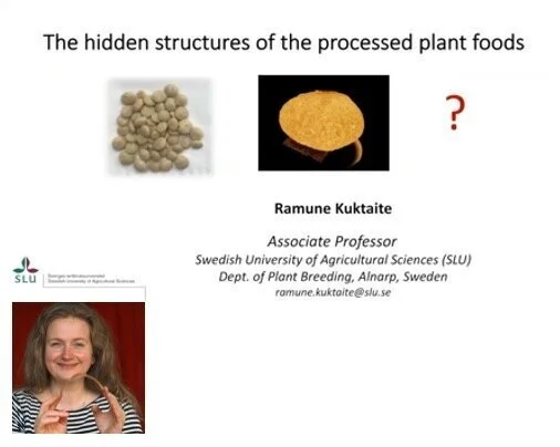 VIDEO - Northern Lights on Food II workshop - The hidden structures of the processed plant foods with Ramune Kuktaite