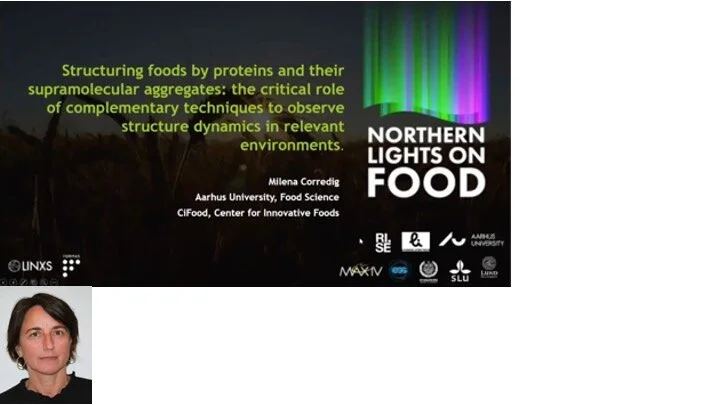 VIDEO - Northern Lights on Food II workshop -  Structuring foods by proteins and their supramolecular aggregates: the critical role.... with M. Corredig